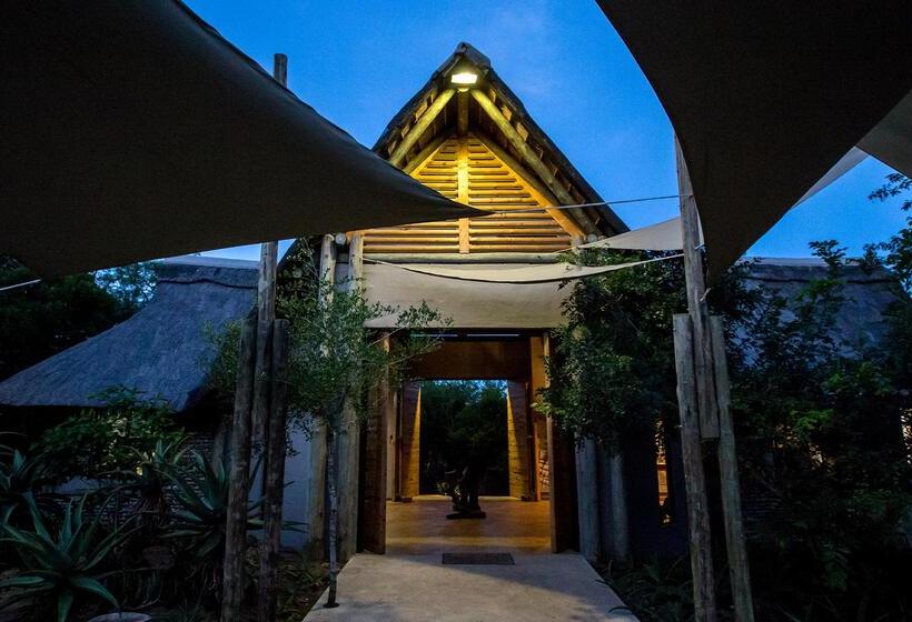 בית מלון כפרי Royal Thonga Safari Lodge