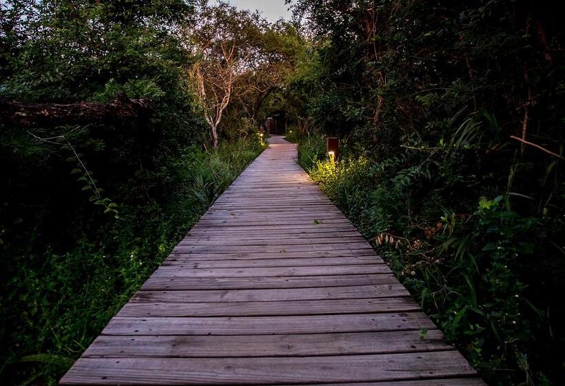 בית מלון כפרי Royal Thonga Safari Lodge