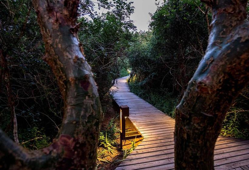 בית מלון כפרי Royal Thonga Safari Lodge