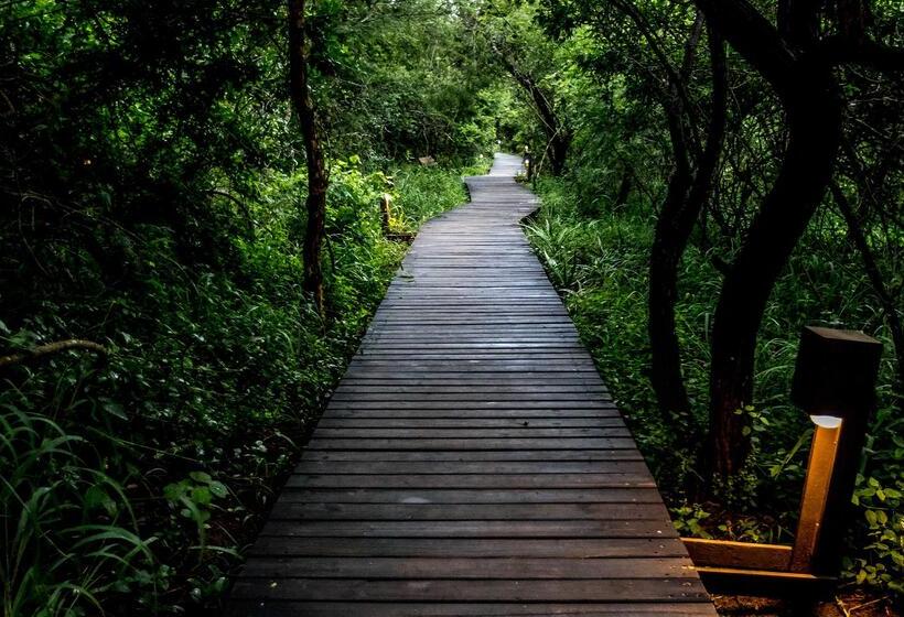 בית מלון כפרי Royal Thonga Safari Lodge