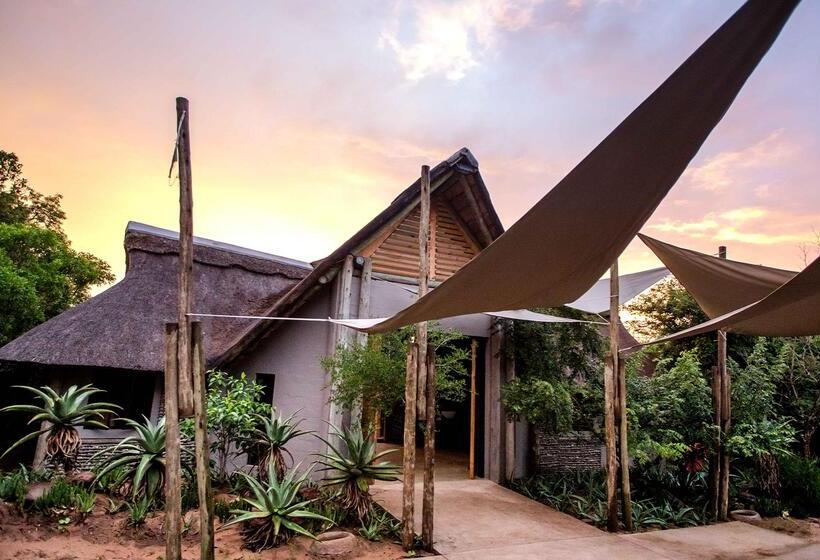 Отель Royal Thonga Safari Lodge