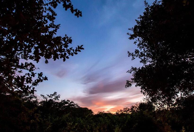 בית מלון כפרי Royal Thonga Safari Lodge