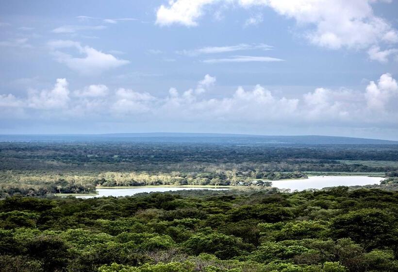 בית מלון כפרי Royal Thonga Safari Lodge