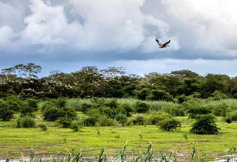 בית מלון כפרי Royal Thonga Safari Lodge