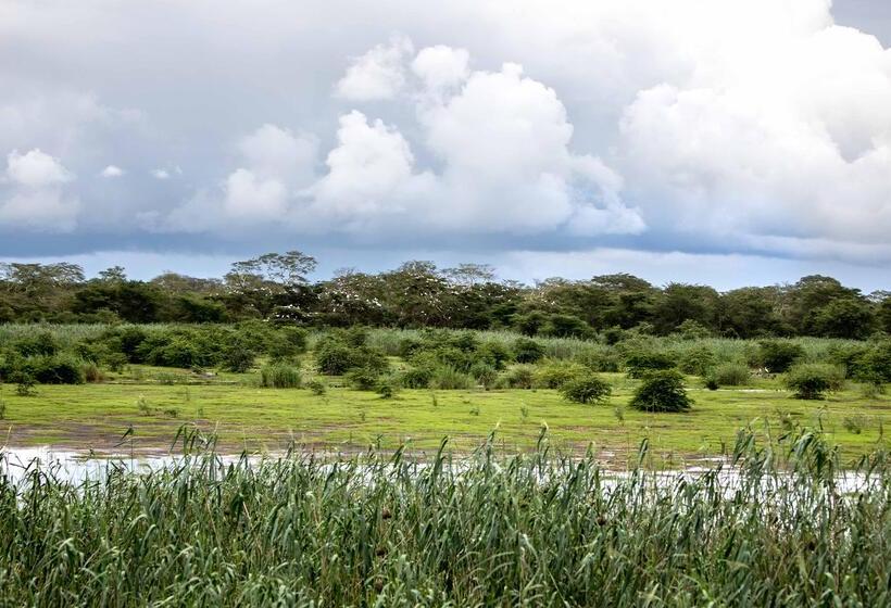 בית מלון כפרי Royal Thonga Safari Lodge