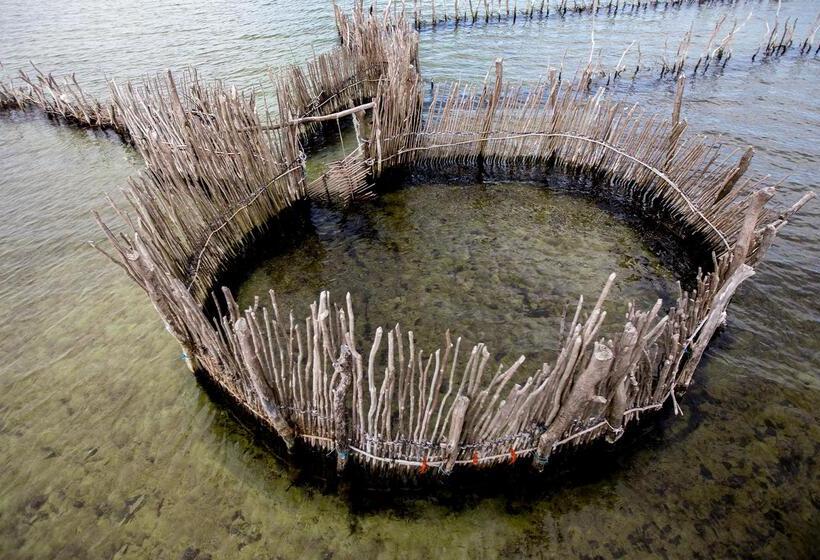 בית מלון כפרי Royal Thonga Safari Lodge