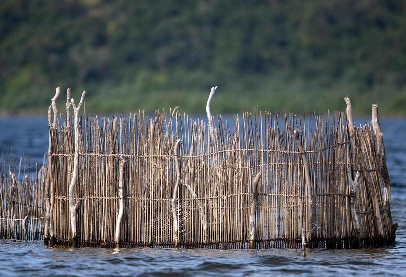בית מלון כפרי Royal Thonga Safari Lodge