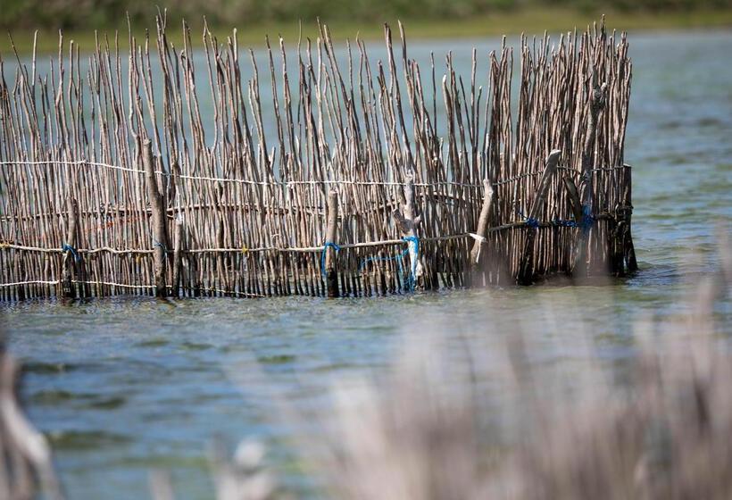 בית מלון כפרי Royal Thonga Safari Lodge