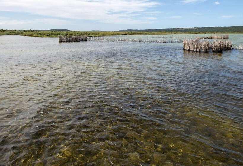 בית מלון כפרי Royal Thonga Safari Lodge