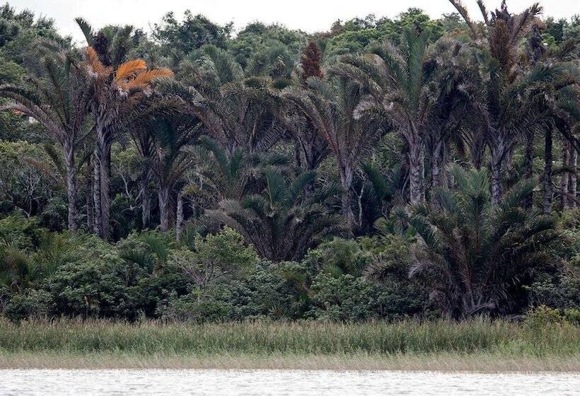 בית מלון כפרי Royal Thonga Safari Lodge