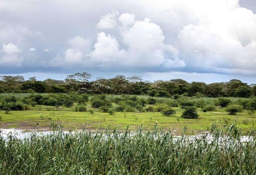 בית מלון כפרי Royal Thonga Safari Lodge