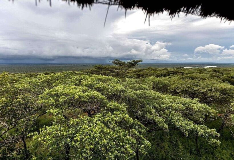 בית מלון כפרי Royal Thonga Safari Lodge