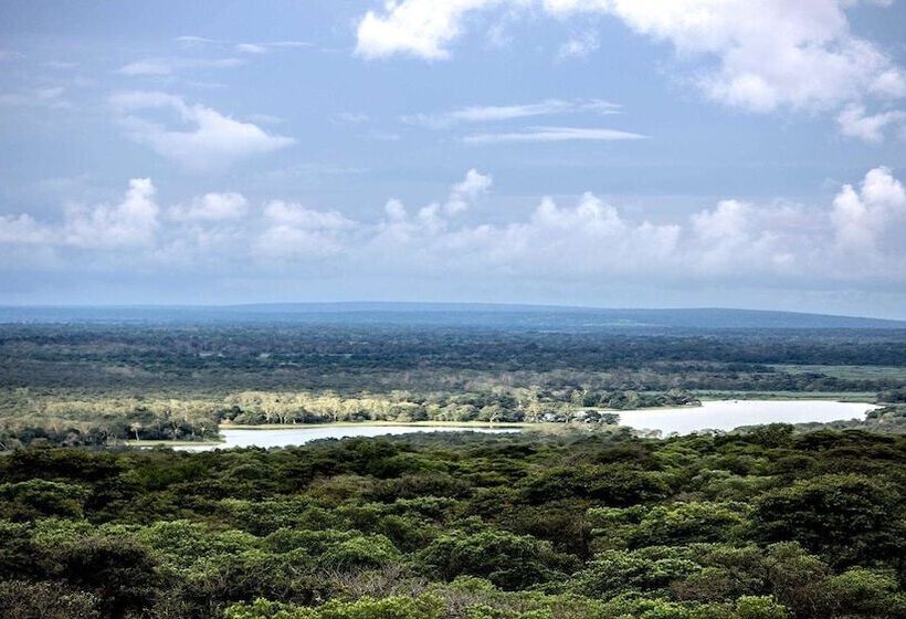 בית מלון כפרי Royal Thonga Safari Lodge