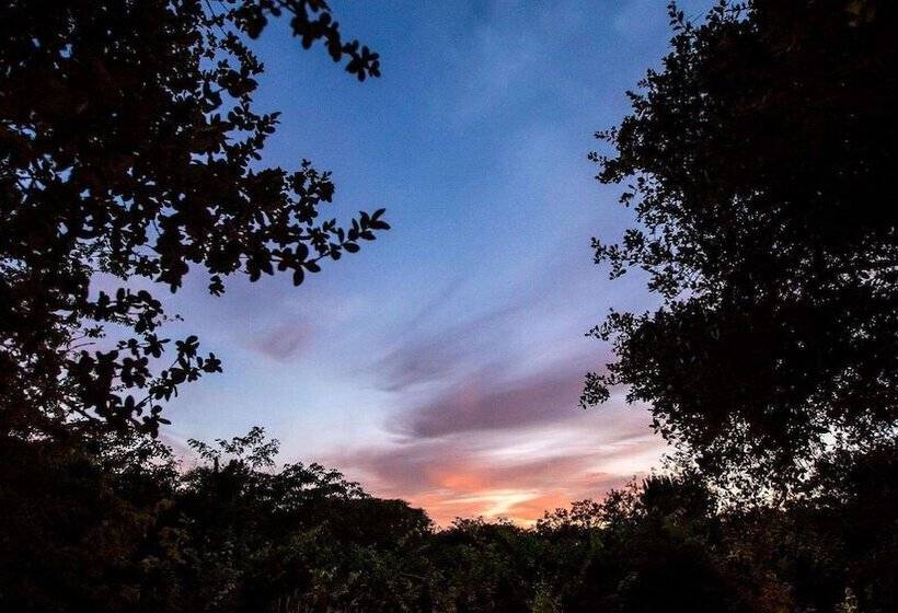 בית מלון כפרי Royal Thonga Safari Lodge