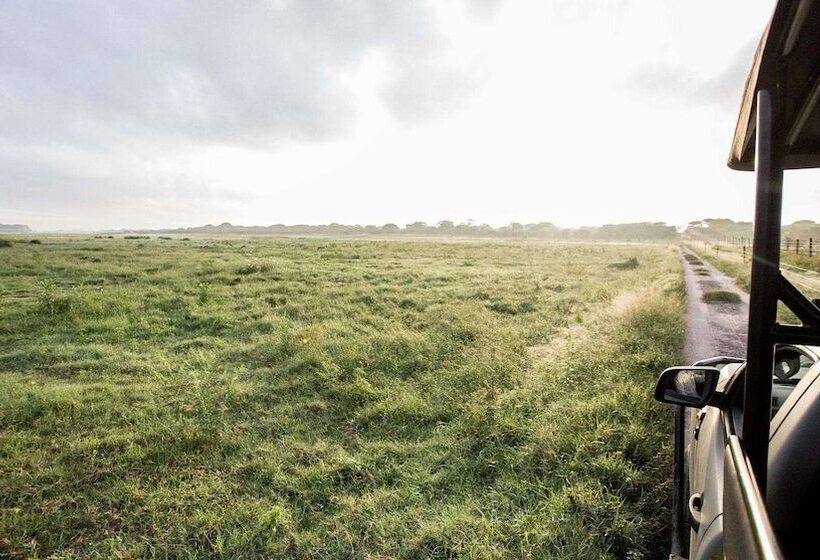 בית מלון כפרי Royal Thonga Safari Lodge