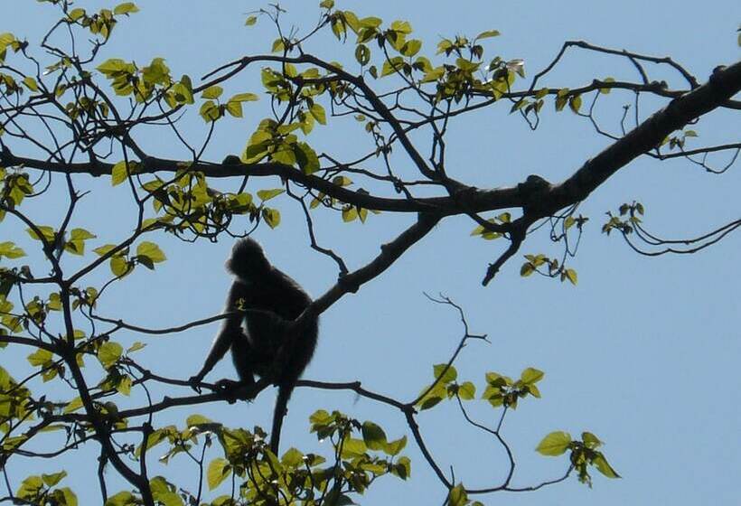 فندق Villa Rumah Kita