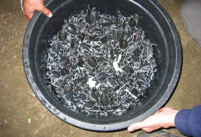 فندق Villa Rumah Kita