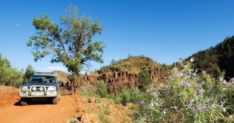 فندق ريفى Skytrek Willow Springs Station