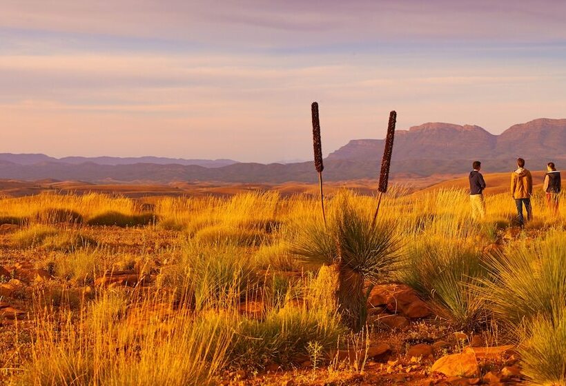 乡村酒店 Skytrek Willow Springs Station