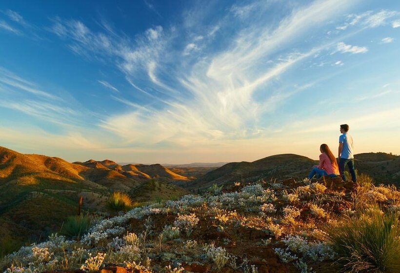 乡村酒店 Skytrek Willow Springs Station