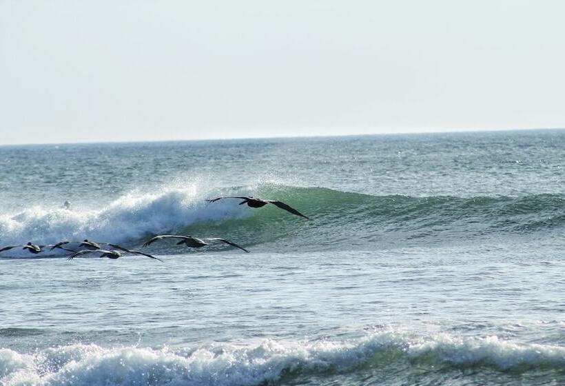 فندق Suite San Marcos 124 Gran Pacifica Resort