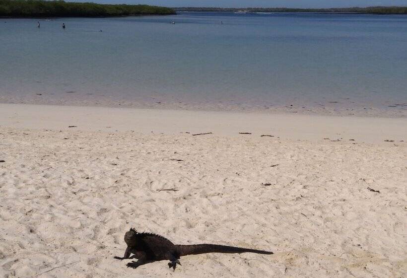 هتل Suymar Ecolodge Galapagos