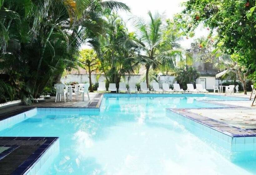 فندق The White Haven