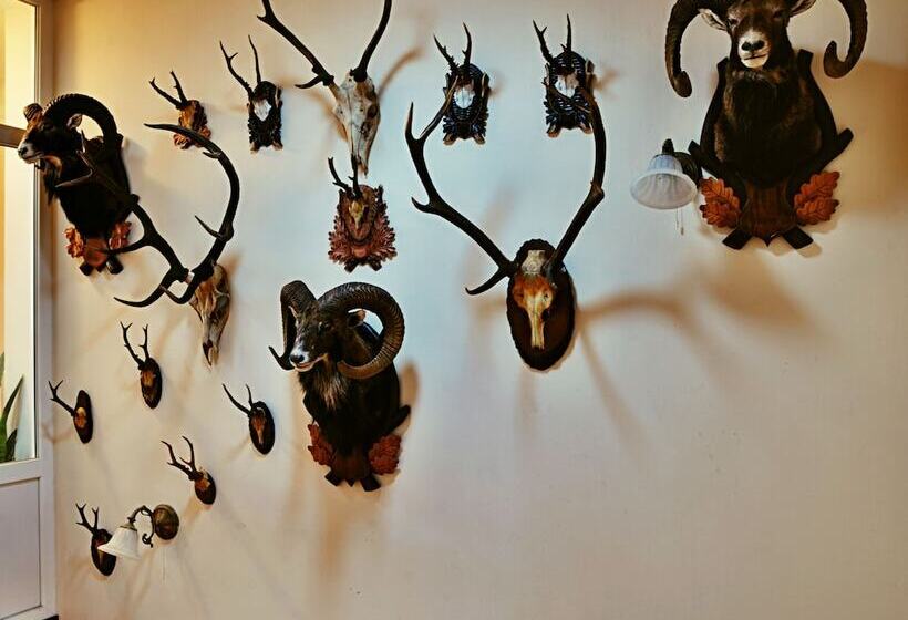 酒店 Zámeček Kaliště