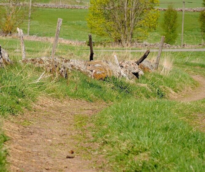 Nästegården Bed & Breakfast