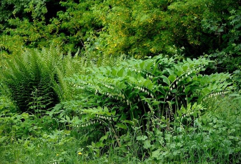 Nästegården Bed & Breakfast