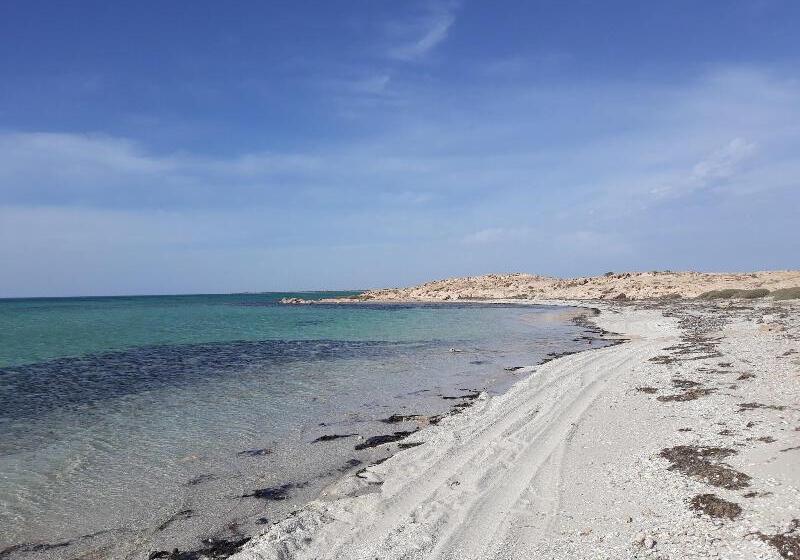 بنسيون Dar Chick Yahia