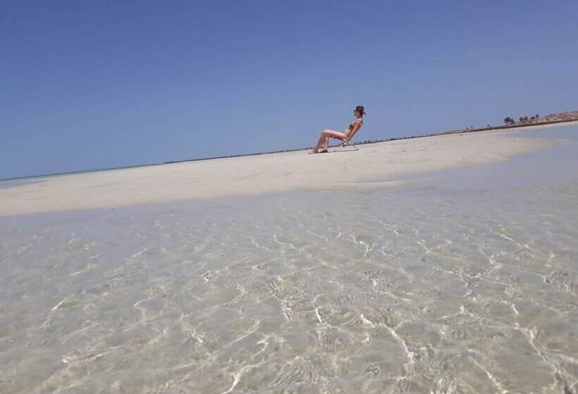 بنسيون Dar Chick Yahia