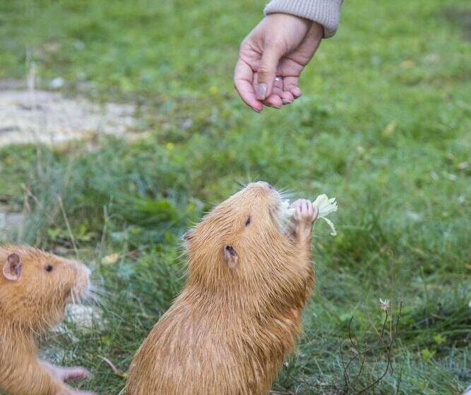 بنسيون Resort Svět