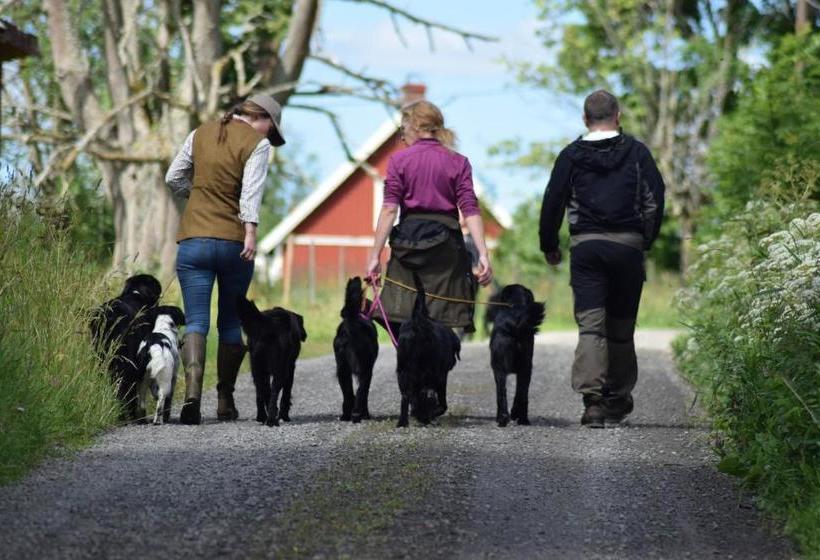 Пансион Vidinge Gård