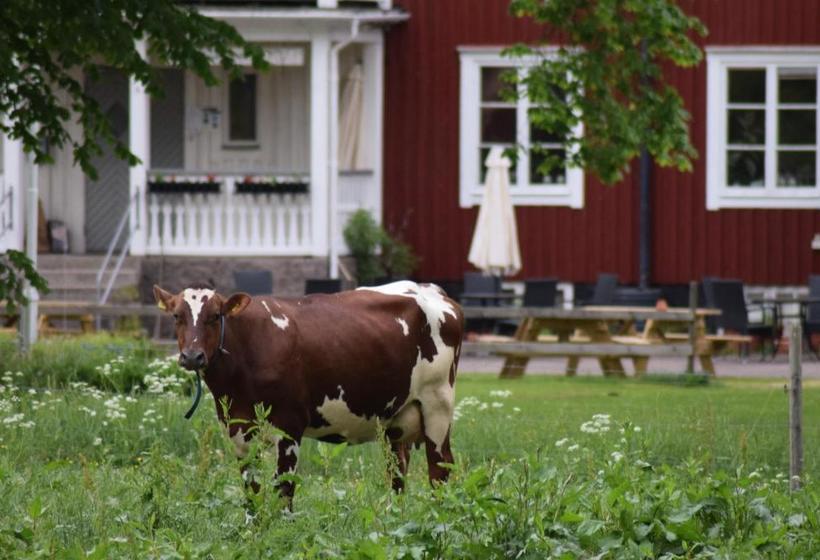 Пансион Vidinge Gård