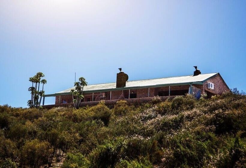 פנסיון Wolfkop Guesthouse