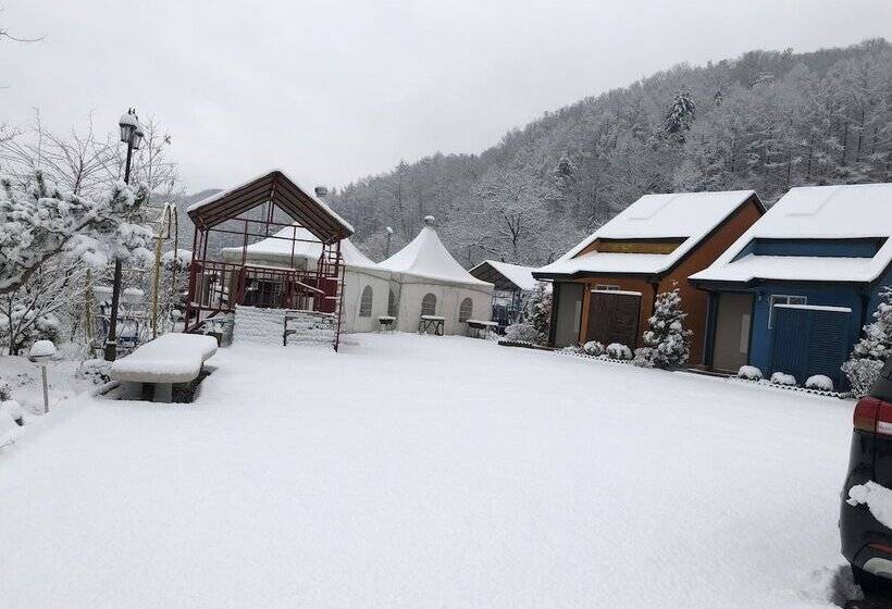 Pension Cafe Yoon & Park