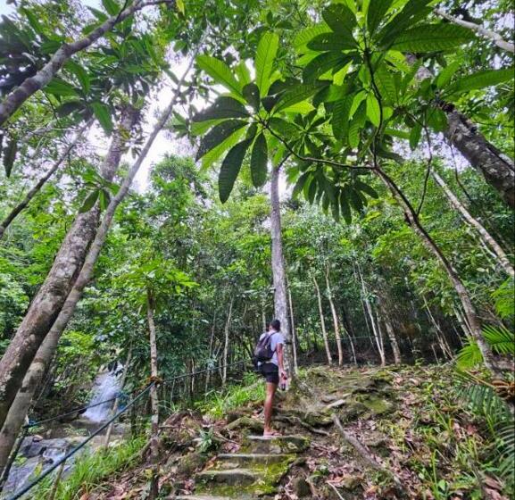 استراحتگاه Sunset Colors