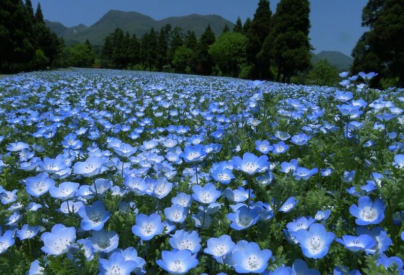 Рёкан Hoshino Resorts Kai Aso