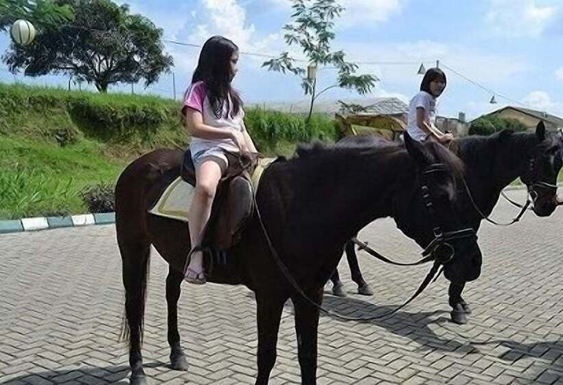 فندق The Highland Park Resort Bogor