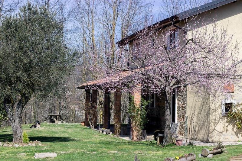 La Rosa Nel Bicchiere