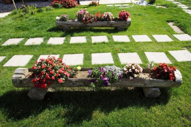 La Rosa Nel Bicchiere