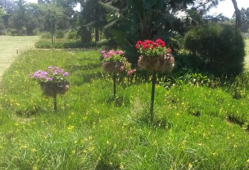 住宿加早餐  African Flair Country Lodge