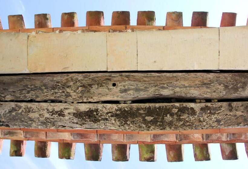 צימר Chambres D Hôtes Canel