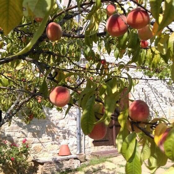 Bed and Breakfast Chez Lavergne Table D Hôtes