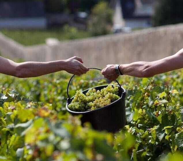 Bed and Breakfast Chez Lavergne Table D Hôtes