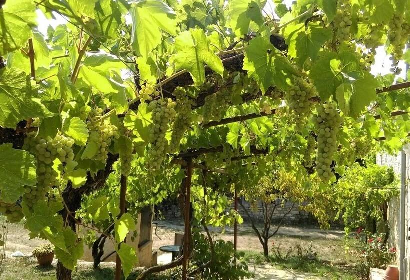 Bed and Breakfast Chez Lavergne Table D Hôtes