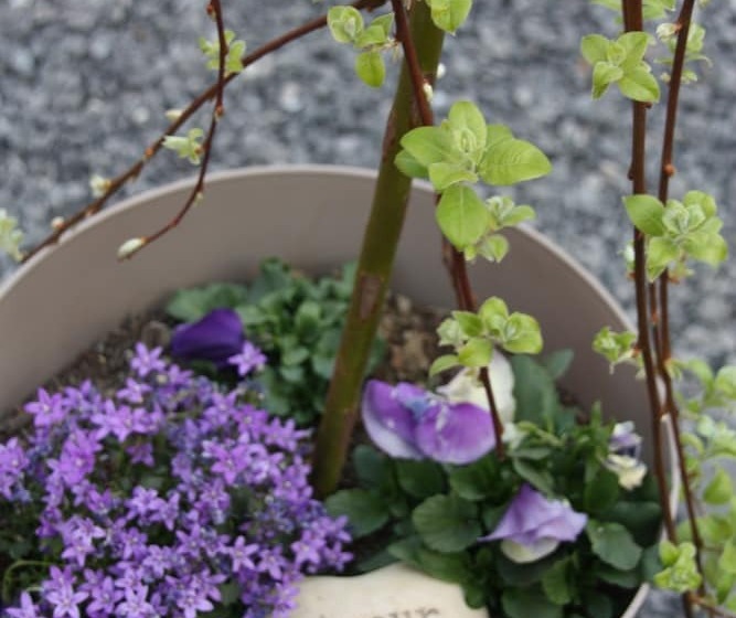 민박 Comme Un Rêve