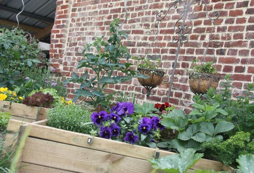 민박 Comme Un Rêve