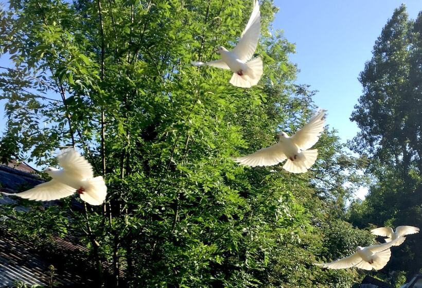 住宿加早餐  La Ferme Des Isles